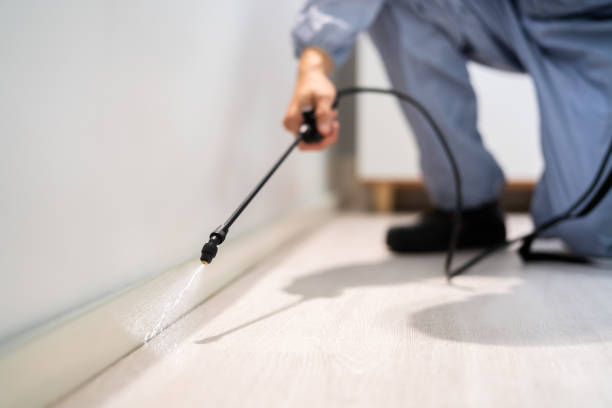 Licensed Termite Control service in Wolfhurst, OH - Show Me Pest Control